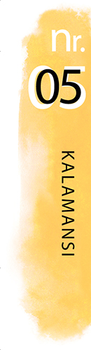 nr. 05