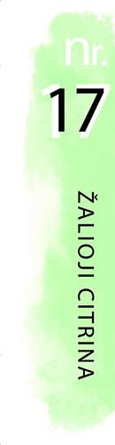 nr. 17